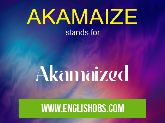 AKAMAIZE means Akamaized AKAMAIZE