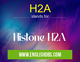 H2A means Histone H2A H2A