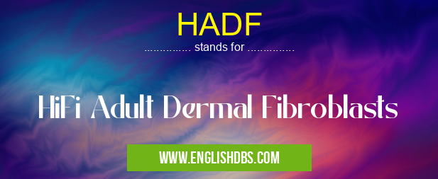 HADF means HiFi Adult Dermal Fibroblasts HADF