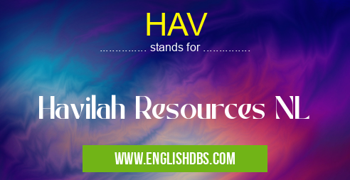 HAV means Havilah Resources NL HAV