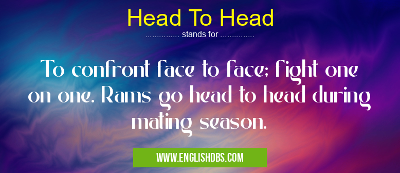 Head To Head means To confront face to face; fight one on one. Rams go head to head during mating season. Head To Head