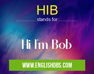HIB means Hi I'm Bob HIB