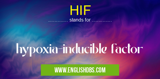 HIF means hypoxia-inducible factor HIF