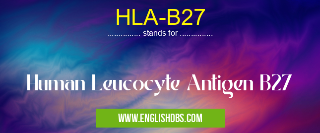 HLA-B27 means Human Leucocyte Antigen B27 HLA-B27