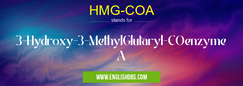 HMG-COA means 3-Hydroxy-3-MethylGlutaryl-COenzyme A HMG-COA