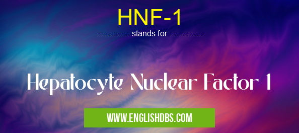 HNF-1 means Hepatocyte Nuclear Factor 1 HNF-1