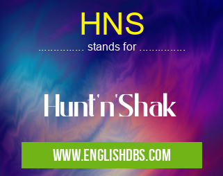 HNS means Hunt'n'Shak HNS