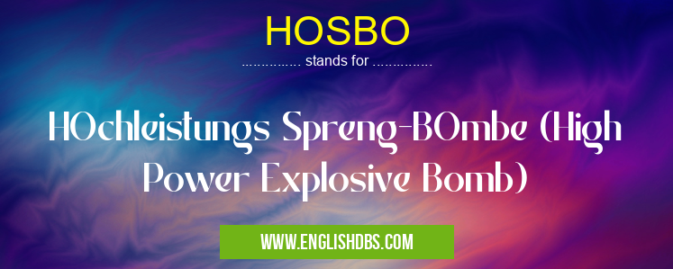 HOSBO means HOchleistungs Spreng-BOmbe (High Power Explosive Bomb) HOSBO