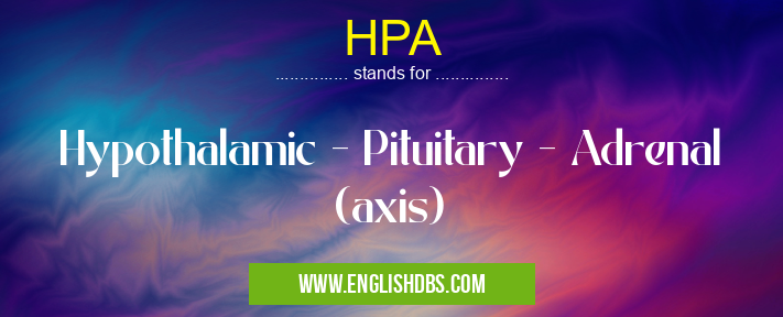 HPA means Hypothalamic - Pituitary - Adrenal (axis) HPA