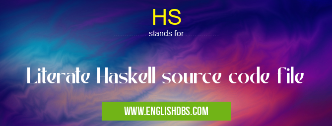 HS means Literate Haskell source code file HS