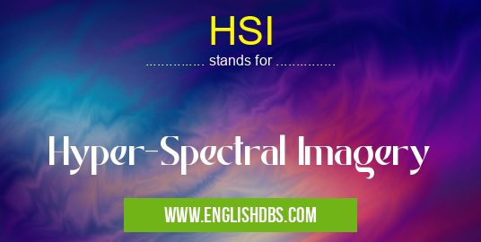HSI means Hyper-Spectral Imagery HSI