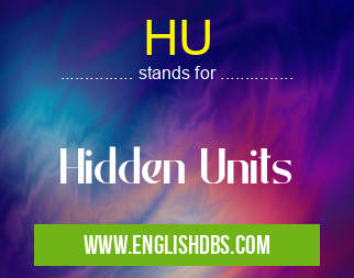 HU means Hidden Units HU