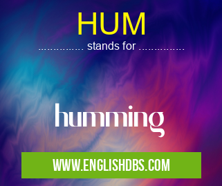 HUM means humming HUM