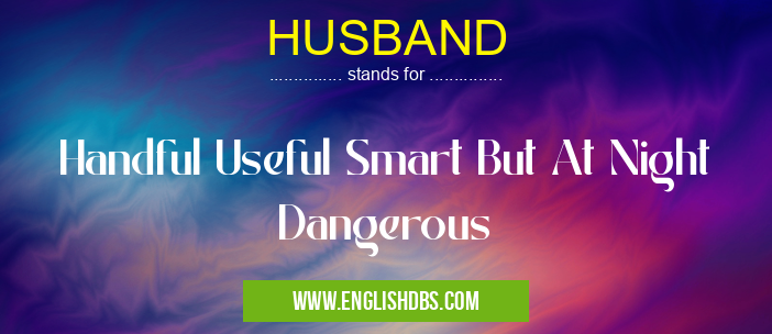 HUSBAND means Handful Useful Smart But At Night Dangerous HUSBAND