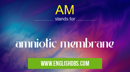 AM means amniotic membrane AM