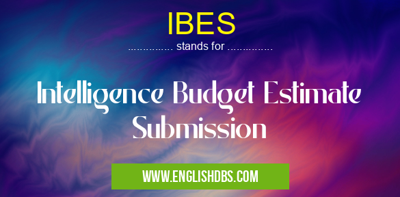 IBES means Intelligence Budget Estimate Submission IBES