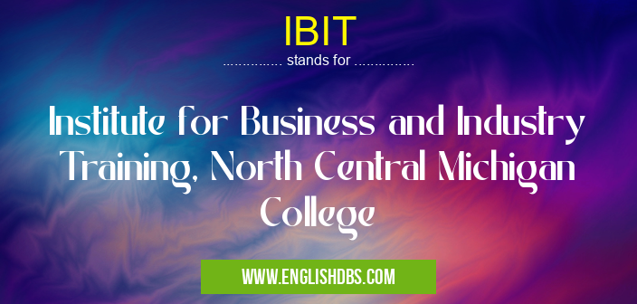 IBIT means Institute for Business and Industry Training, North Central Michigan College IBIT