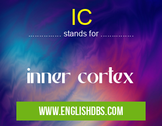 IC means inner cortex IC