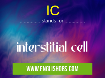 IC means interstitial cell IC
