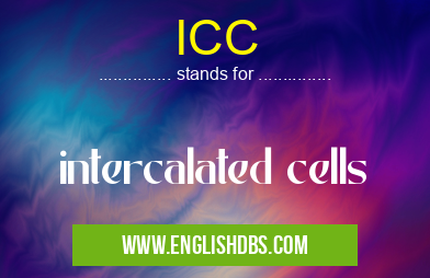 ICC means intercalated cells ICC