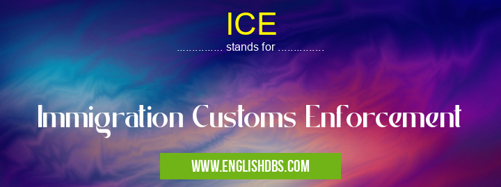 ICE means Immigration Customs Enforcement ICE
