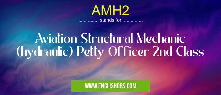 AMH2 means Aviation Structural Mechanic (hydraulic) Petty Officer 2nd Class AMH2