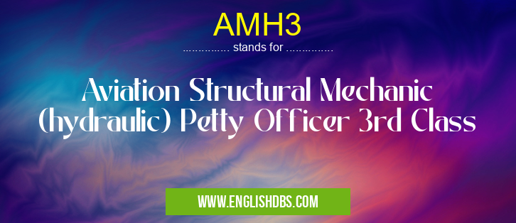 AMH3 means Aviation Structural Mechanic (hydraulic) Petty Officer 3rd Class AMH3