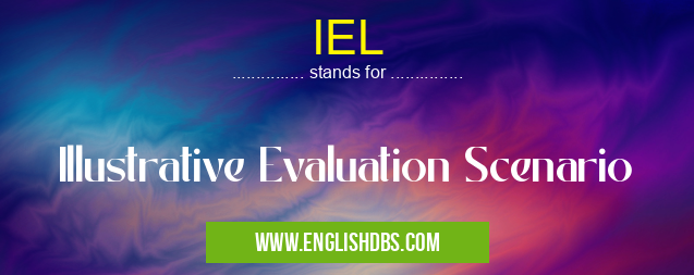 IEL means Illustrative Evaluation Scenario IEL