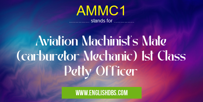 AMMC1 means Aviation Machinist's Mate (carburetor Mechanic) 1st Class Petty Officer AMMC1
