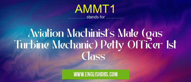 AMMT1 means Aviation Machinist's Mate (gas Turbine Mechanic) Petty Officer 1st Class AMMT1
