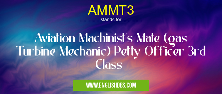 AMMT3 means Aviation Machinist's Mate (gas Turbine Mechanic) Petty Officer 3rd Class AMMT3