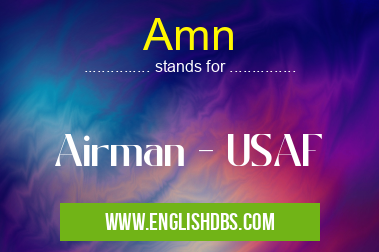 Amn means Airman - USAF Amn