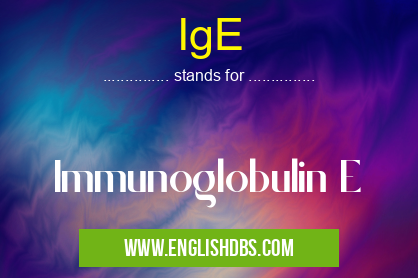 IgE means Immunoglobulin E IgE