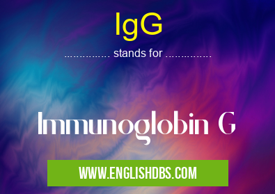 IgG means Immunoglobin G IgG