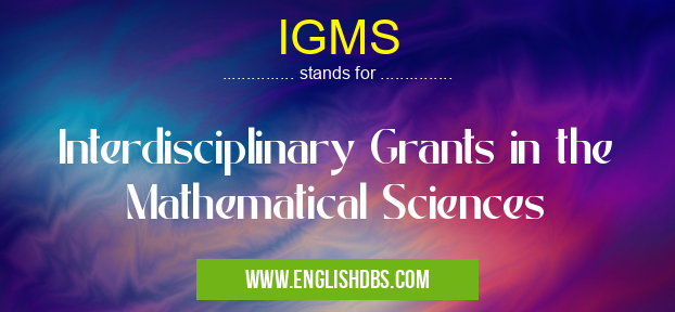 IGMS means Interdisciplinary Grants in the Mathematical Sciences IGMS