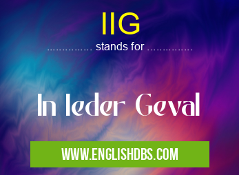 IIG means In Ieder Geval IIG