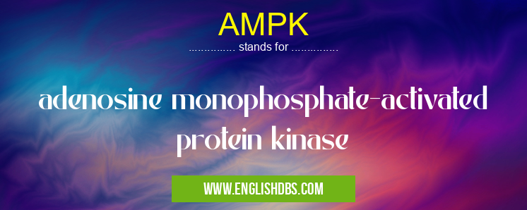 AMPK