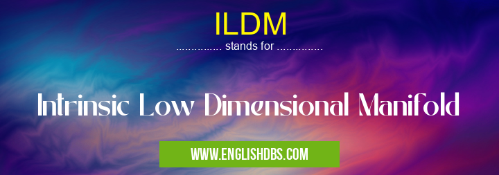 ILDM means Intrinsic Low Dimensional Manifold ILDM