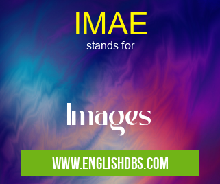 IMAE means Images IMAE