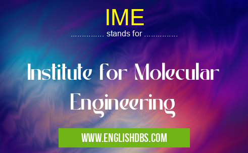 IME means Institute for Molecular Engineering IME