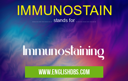IMMUNOSTAIN means Immunostaining IMMUNOSTAIN