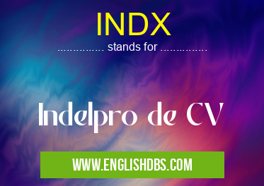 INDX means Indelpro de CV INDX