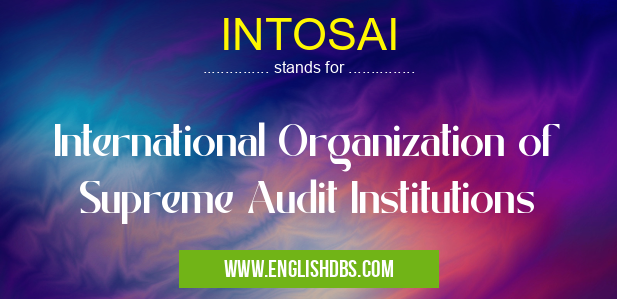 INTOSAI means International Organization of Supreme Audit Institutions INTOSAI