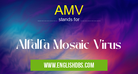 AMV means Alfalfa Mosaic Virus AMV