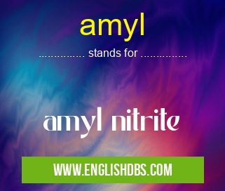 amyl means amyl nitrite amyl