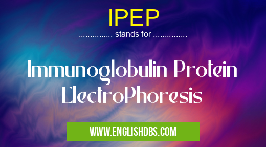 IPEP means Immunoglobulin Protein ElectroPhoresis IPEP