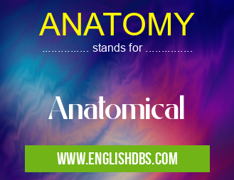 ANATOMY means Anatomical ANATOMY
