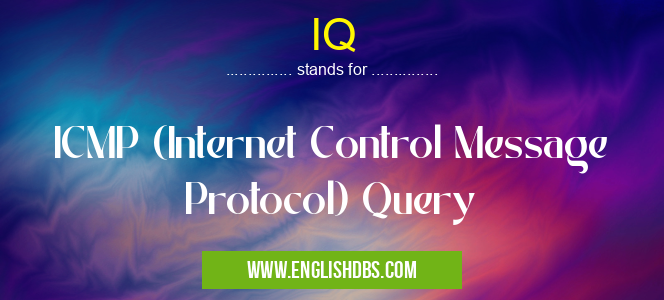 IQ means ICMP (Internet Control Message Protocol) Query IQ