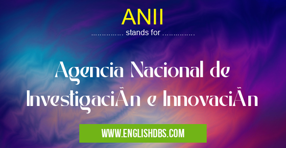 ANII means Agencia Nacional de Investigación e Innovación ANII