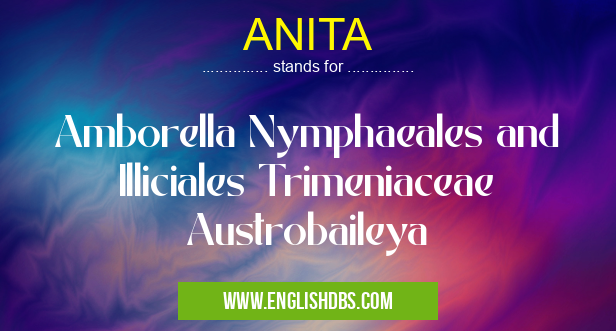ANITA means Amborella Nymphaeales and Illiciales Trimeniaceae Austrobaileya ANITA